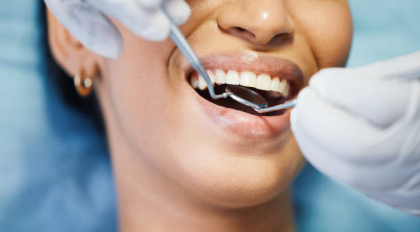Best Emergency X-Rays and Diagnostics in Central City, IL